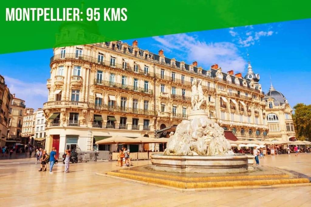 Aux Marches Du Palais - Ac Clim - Spacieux - Terrasse - Wifi Авиньон Экстерьер фото
